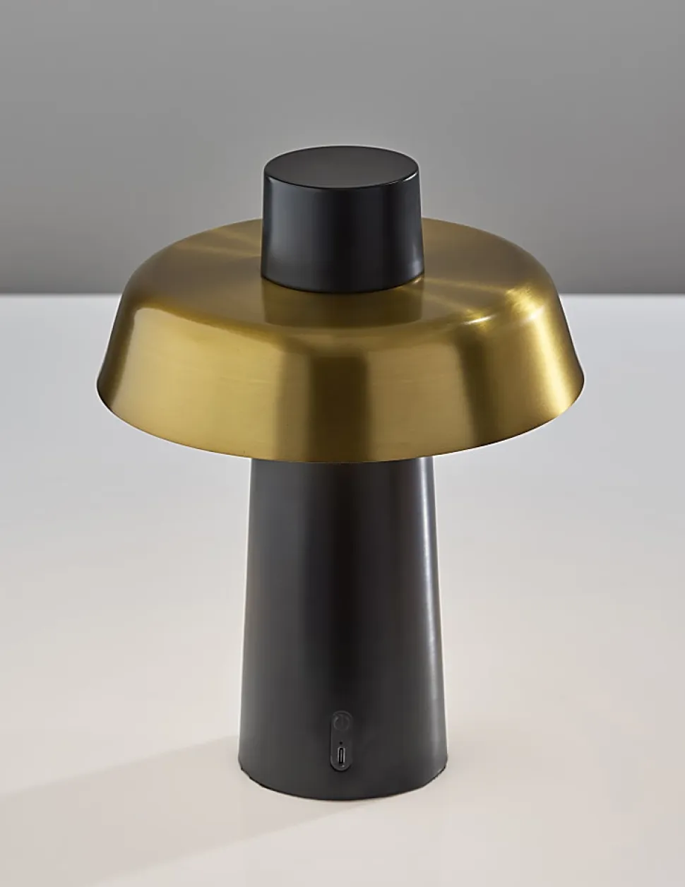 Adesso ADS360 Pirlo LED Cordless Table Lamp, Black with Antique Brass Sahde