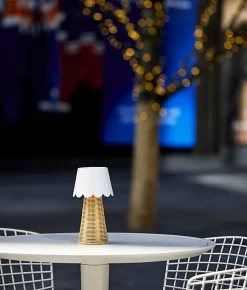Adesso Tory LED Cordless Table Lamp, White/Rattan with White Metal Shade