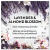 Air Wick® Essential Mist Starter Kit, Lavender And Almond Blossom, 0.67 Oz