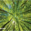 Allsop Naturesmart Mouse Pad, 8" x 8-3/4", Tree Tops, 32672