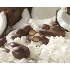 Almond Joy Snack Size Candy Bars, 20.1 Oz, Pack Of 2 Bags