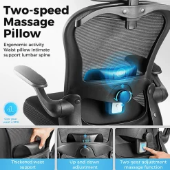 ALPHA HOME Adjustable Ergonomic Mesh High-Back Task Chair, Black