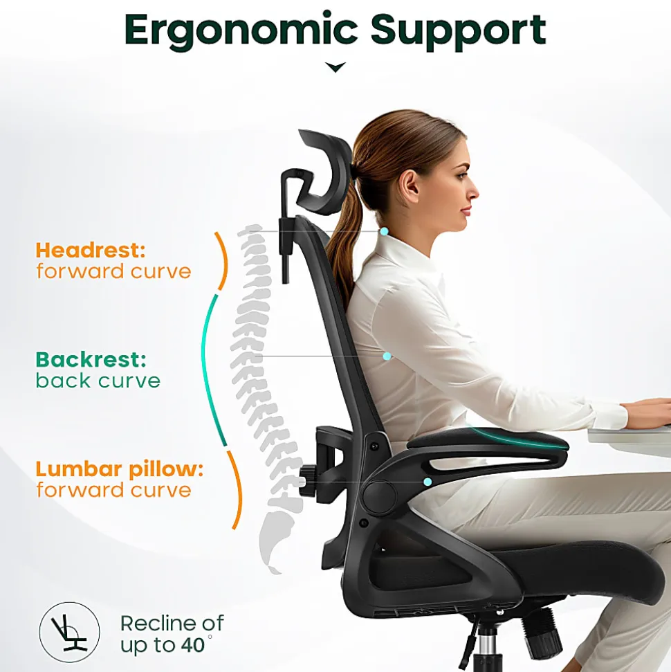 ALPHA HOME Ergonomic Mesh Mid-Back Office Task Chair With Adjustable Headrest, Black