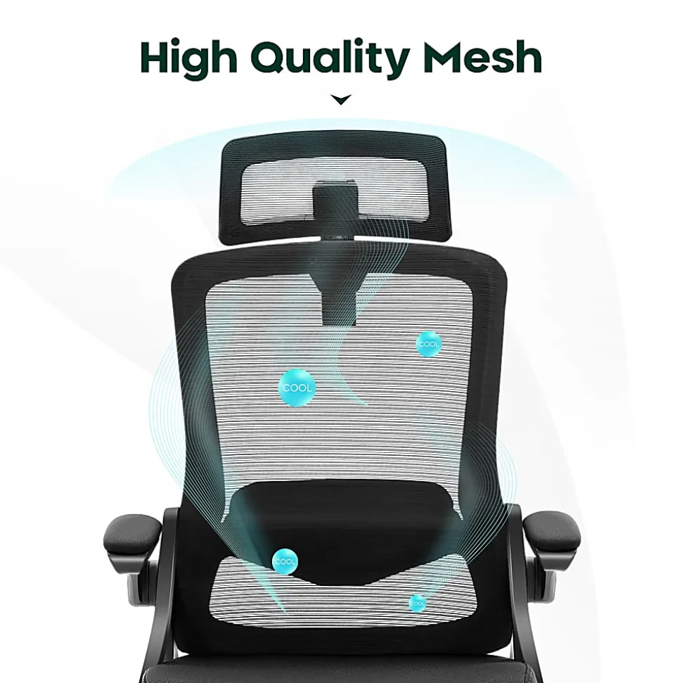 ALPHA HOME Ergonomic Mesh Mid-Back Office Task Chair With Adjustable Headrest, Black