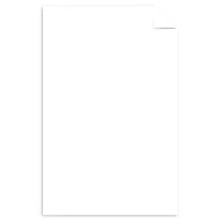 Astrodesigns Cardstock, Inkjet Or Laser Paper, Bright White, Ledger Size (11" x 17"), Pack Of 50 Sheets, FSC® Certified, 80 Lb,  94 Brightness