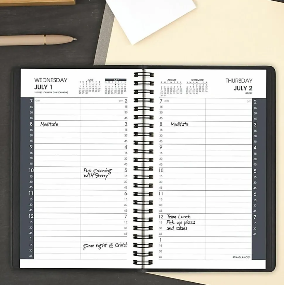 AT-A-GLANCE® Academic 2026-2027 Daily Appointment Book Planner, Black, Small, 5" x 8"