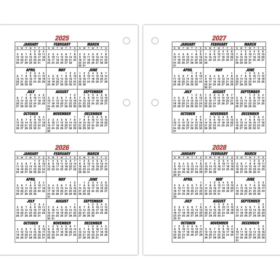 AT-A-GLANCE® Burkhart's Day Counter® 2026 Daily Loose-Leaf Desk Calendar Refill, Large, 4 1/2" x 7 1/2"