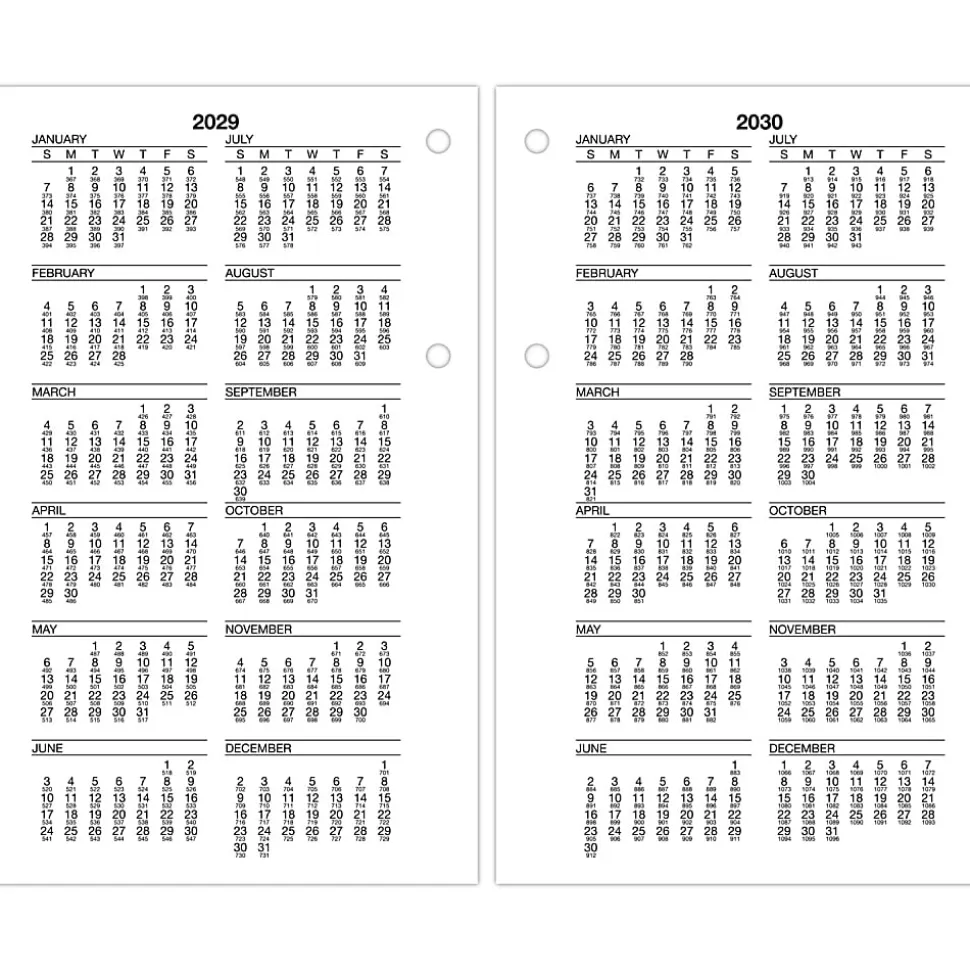 AT-A-GLANCE® Burkhart's Day Counter® 2026 Daily Loose-Leaf Desk Calendar Refill, Large, 4 1/2" x 7 1/2"