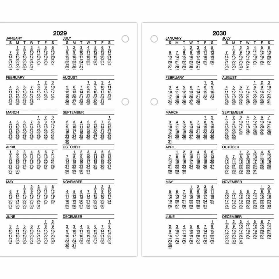 AT-A-GLANCE® Burkhart's Day Counter® 2026 Daily Loose-Leaf Desk Calendar Refill, Large, 4 1/2" x 7 1/2"