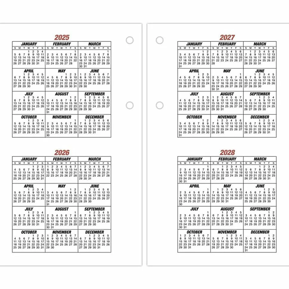AT-A-GLANCE® Burkhart's Day Counter® 2026 Daily Loose-Leaf Desk Calendar Refill, Large, 4 1/2" x 7 1/2"