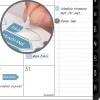 AT-A-GLANCE® Contemporary Lite 2026 Weekly Monthly Planner, Black, Large, 8 1/4" x 11"