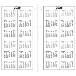 AT-A-GLANCE® 2026 Daily Loose-Leaf Desk Calendar Refill, Standard, 4 1/2
