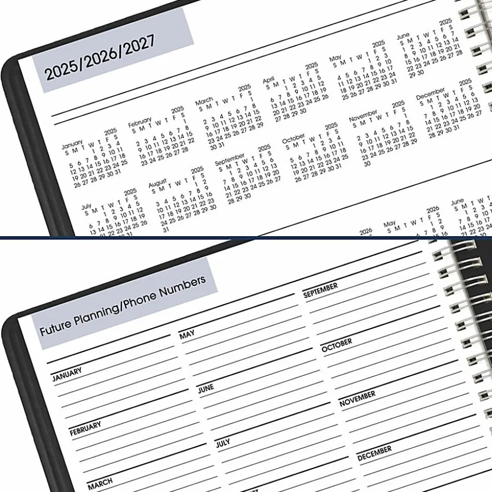 AT-A-GLANCE® DayMinder® 2026 Four Person Daily Appointment Book, Black, Large, 8" x 11"