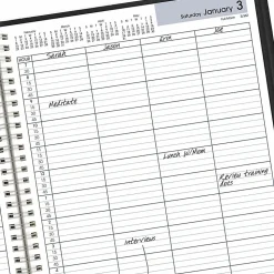 AT-A-GLANCE® DayMinder® 2026 Four Person Daily Appointment Book, Black, Large, 8