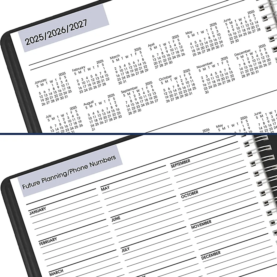 AT-A-GLANCE® DayMinder® 2026 Four Person Daily Appointment Book, Black, Large, 8" x 11"