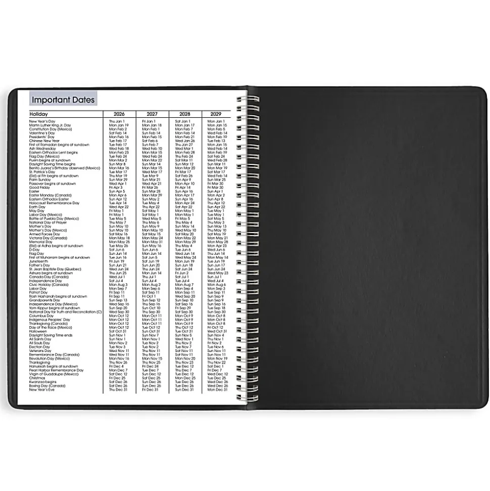 AT-A-GLANCE® DayMinder® 2026 Weekly Appointment Book Planner, Black, Large, 8" x 11"
