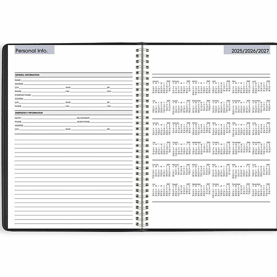 AT-A-GLANCE® DayMinder® 2026 Weekly Appointment Book Planner, Black, Large, 8" x 11"