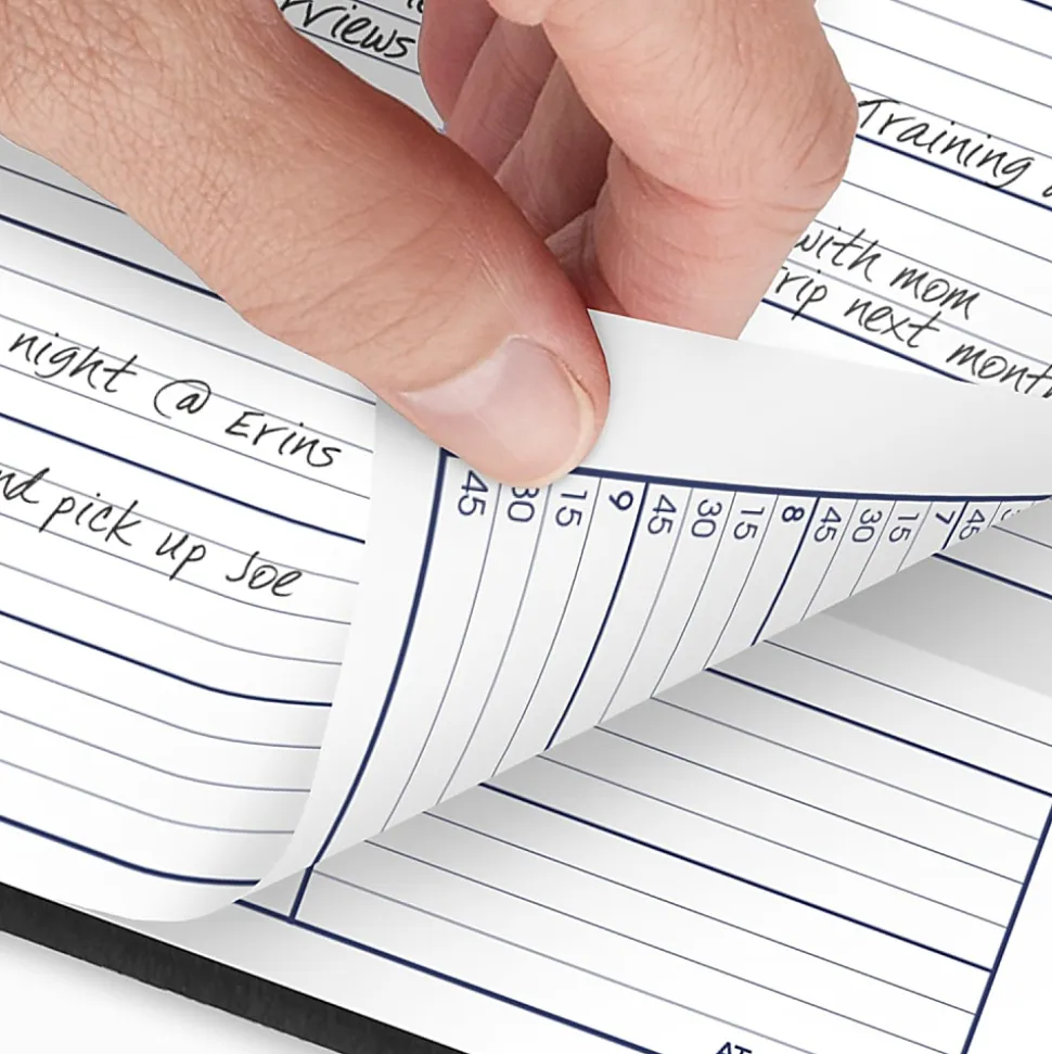 AT-A-GLANCE® DayMinder® 2026 Weekly Appointment Book Planner, Black, Large, 8" x 11"