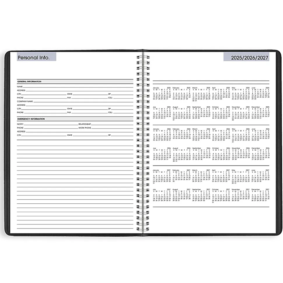 AT-A-GLANCE® DayMinder® 2026 Weekly Appointment Book Planner, Black, Large, 8" x 11"