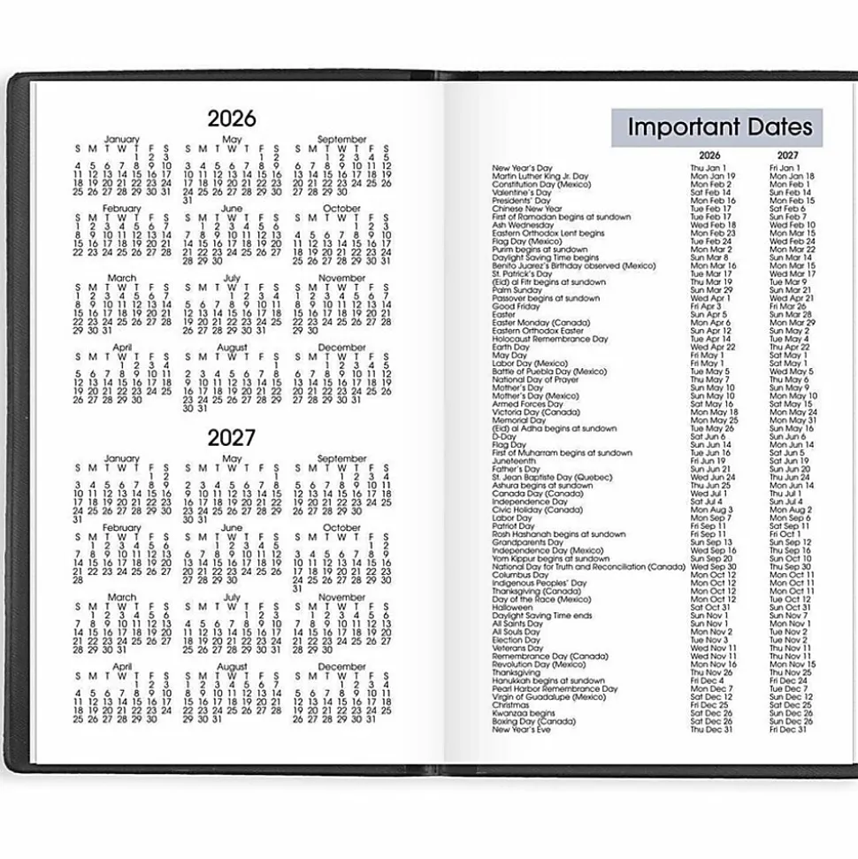 AT-A-GLANCE® DayMinder® 2026 Weekly Planner, Black, Pocket, 3 1/2" x 6"