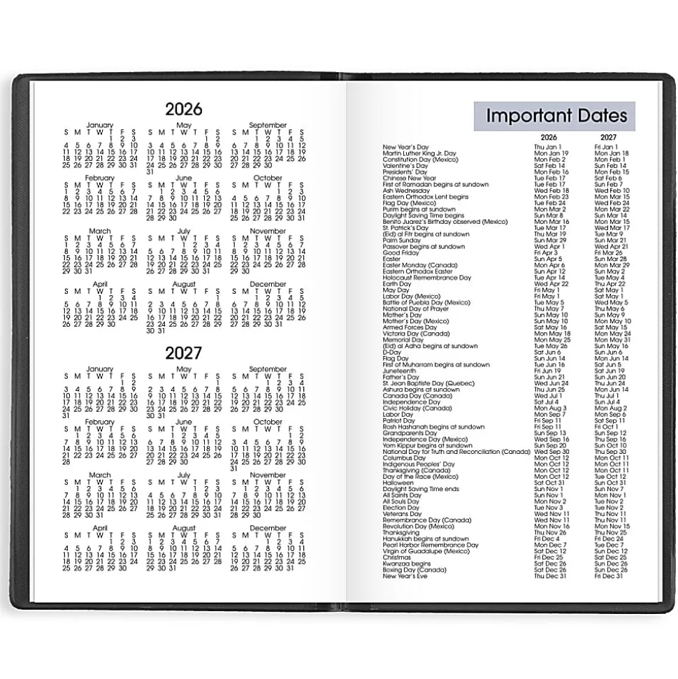 AT-A-GLANCE® DayMinder® 2026 Weekly Planner, Black, Pocket, 3 1/2" x 6"