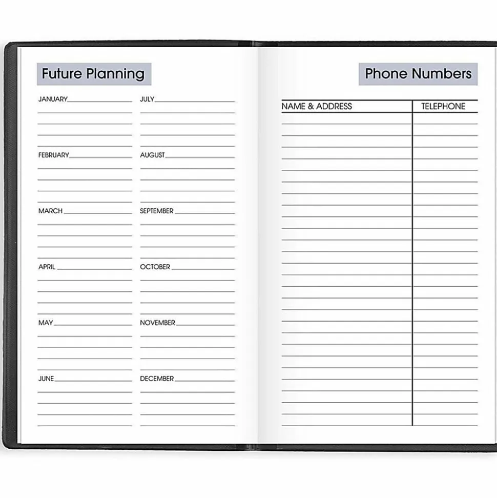 AT-A-GLANCE® DayMinder® 2026 Weekly Planner, Black, Pocket, 3 1/2" x 6"