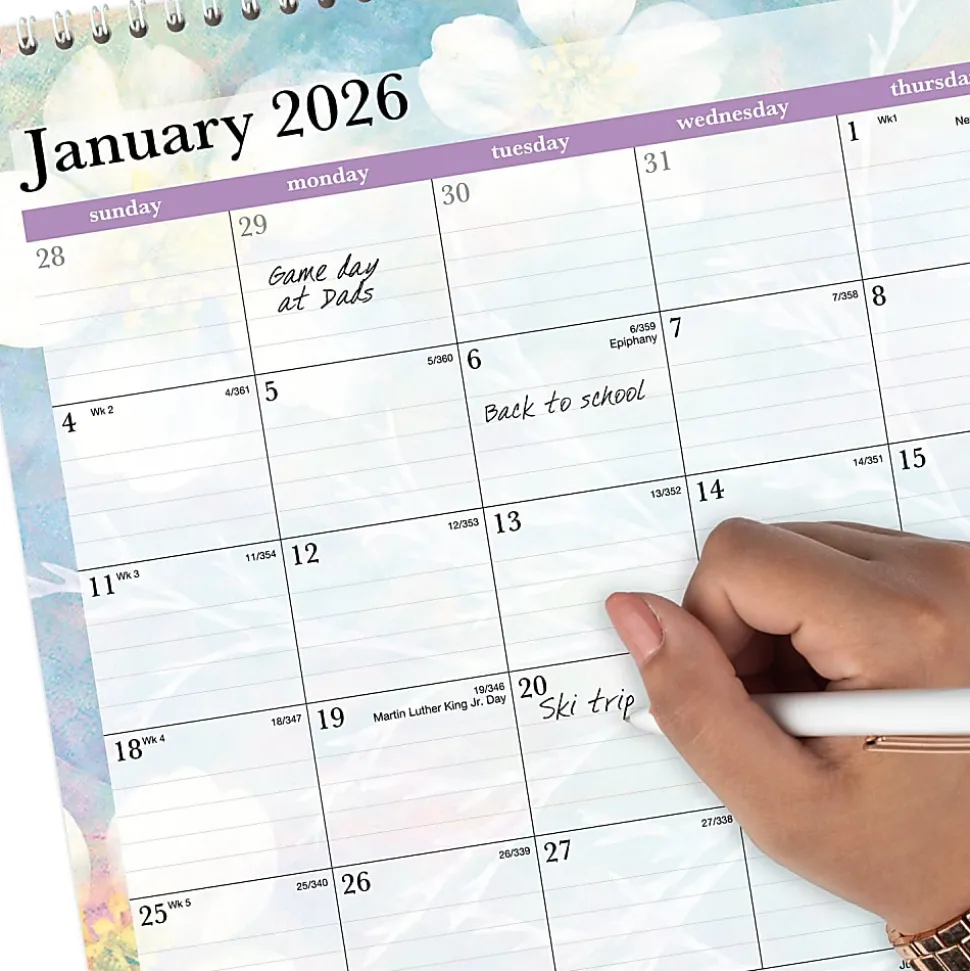 AT-A-GLANCE® Dreams 2026 Monthly Wall Calendar, Medium, 15" x 12"