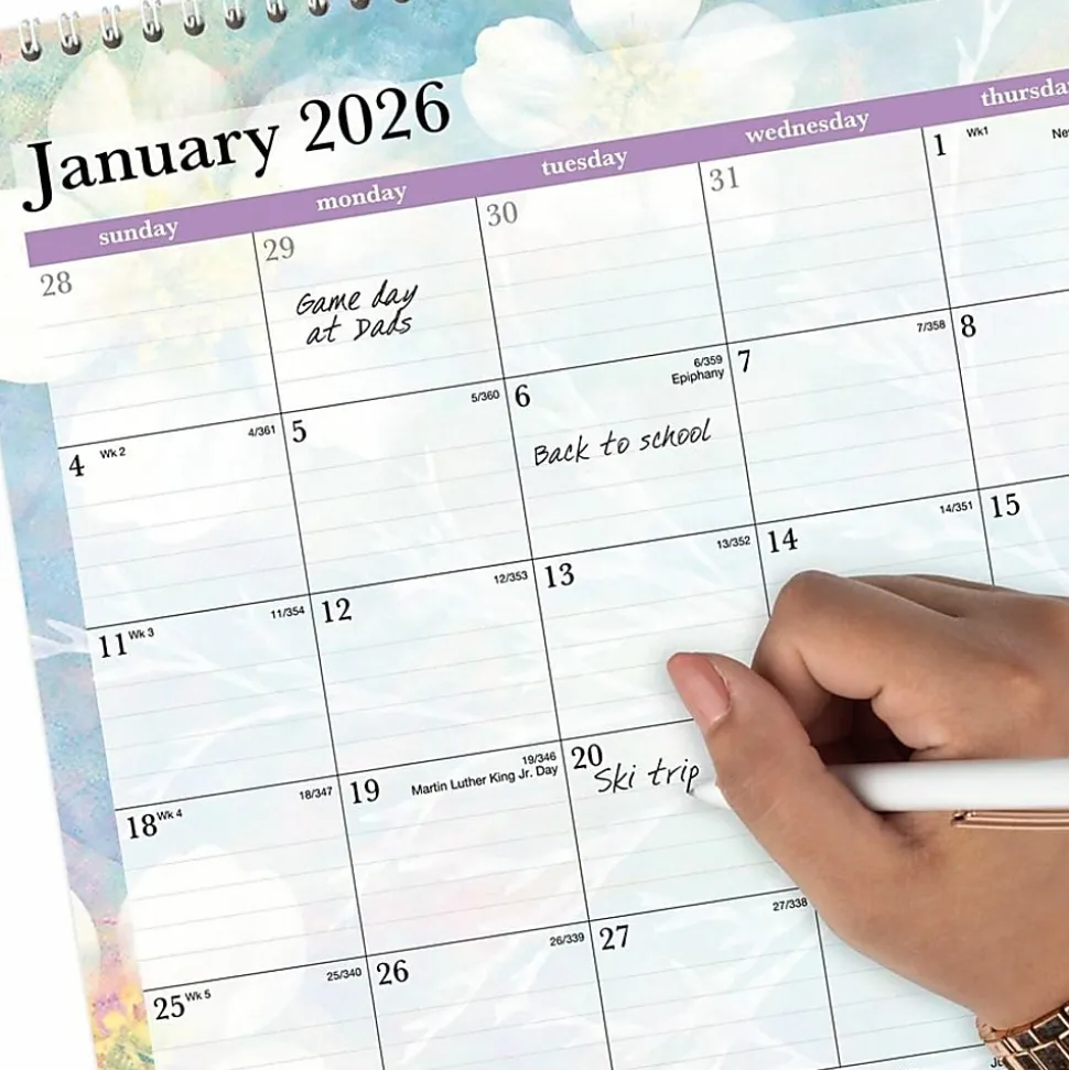 AT-A-GLANCE® Dreams 2026 Monthly Wall Calendar, Medium, 15" x 12"