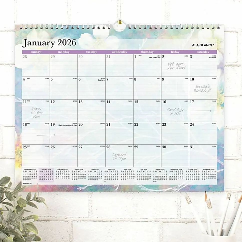 AT-A-GLANCE® Dreams 2026 Monthly Wall Calendar, Medium, 15" x 12"