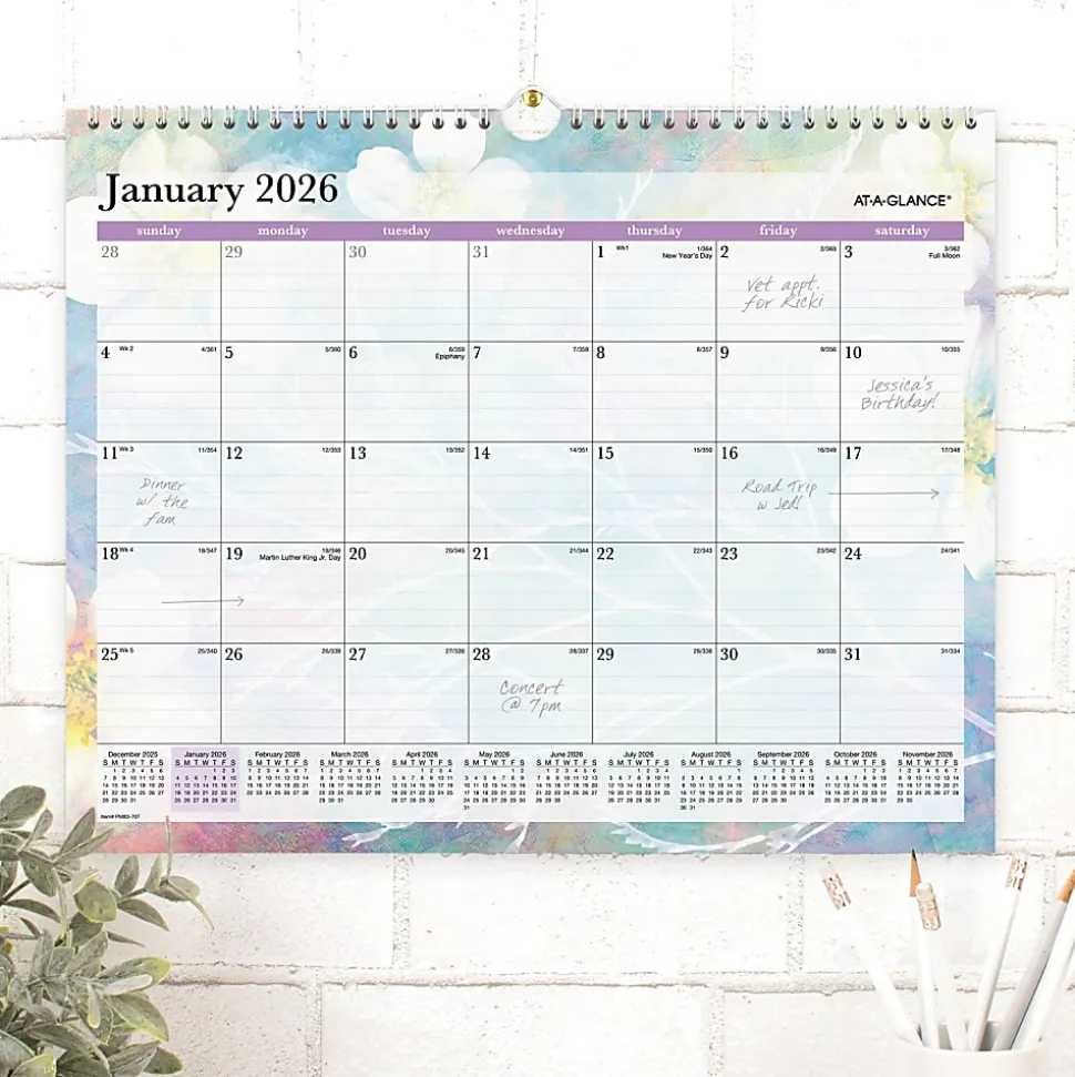 AT-A-GLANCE® Dreams 2026 Monthly Wall Calendar, Medium, 15" x 12"