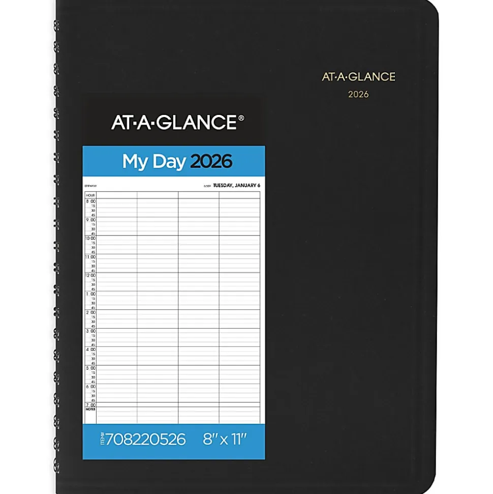 AT-A-GLANCE® 2026 Four Person Daily Appointment Book, Black, Large, 8" x 11"
