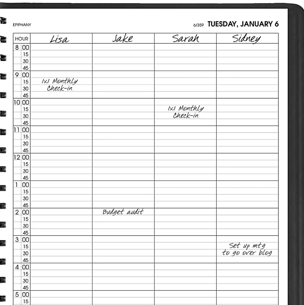 AT-A-GLANCE® 2026 Four Person Daily Appointment Book, Black, Large, 8" x 11"