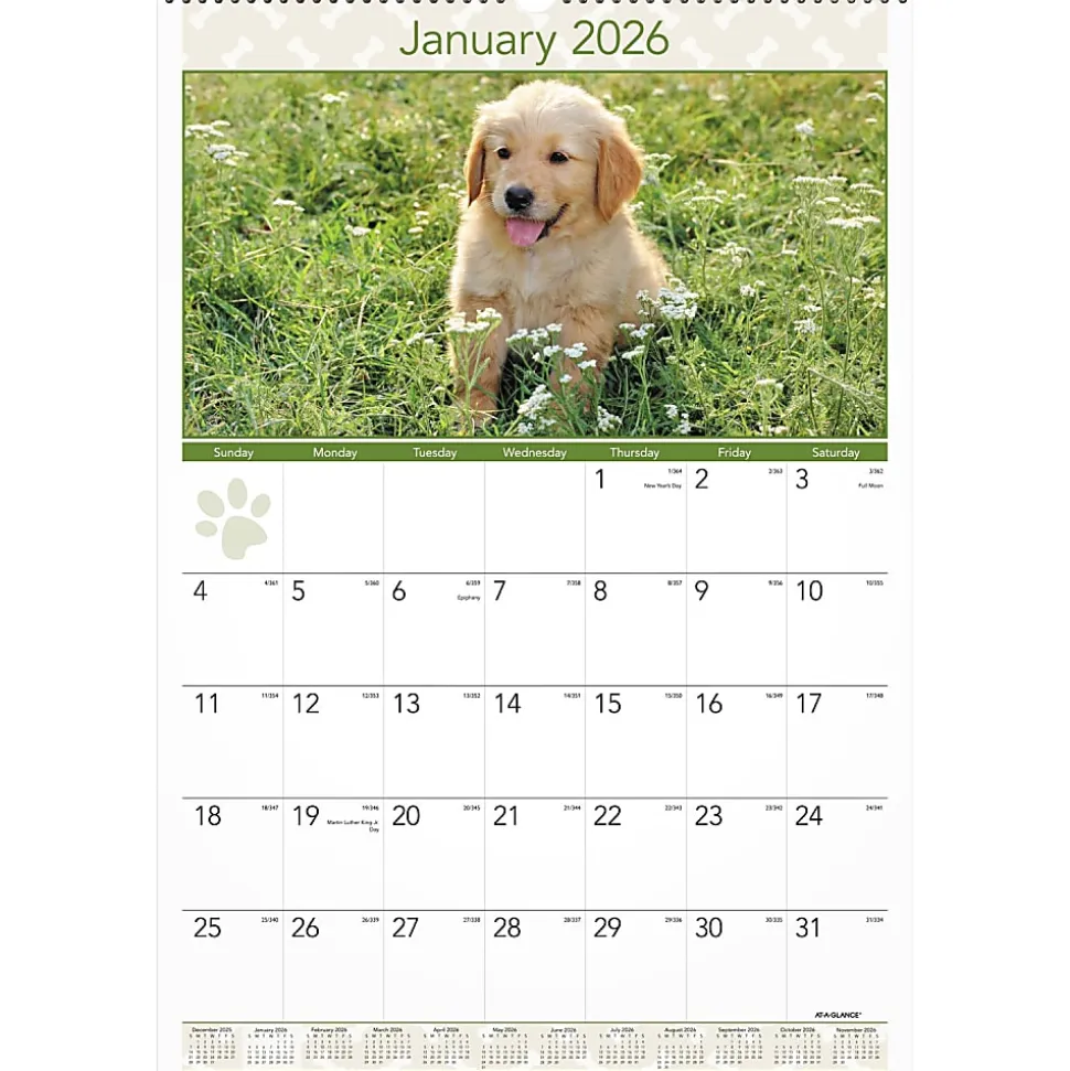 AT-A-GLANCE® 2026 Puppies Monthly Wall Calendar, Large, 15 1/2" x 22 3/4"