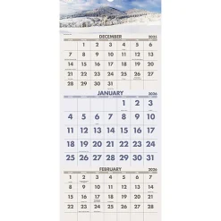 AT-A-GLANCE® 2026 Scenic Three Month Wall Calendar, Large, 12