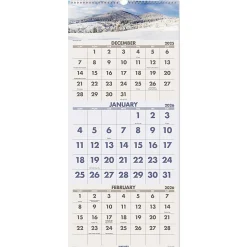 AT-A-GLANCE® 2026 Scenic Three Month Wall Calendar, Large, 12