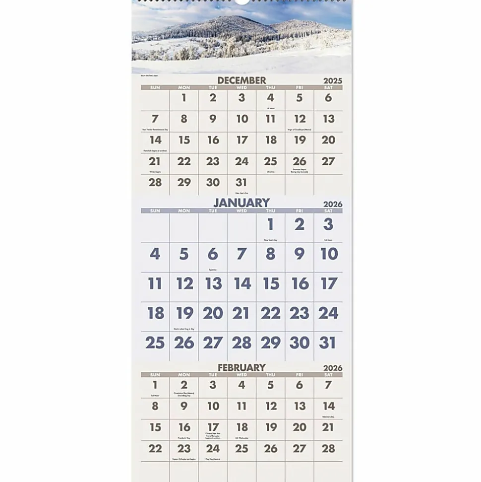 AT-A-GLANCE® 2026 Scenic Three Month Wall Calendar, Large, 12" x 27"