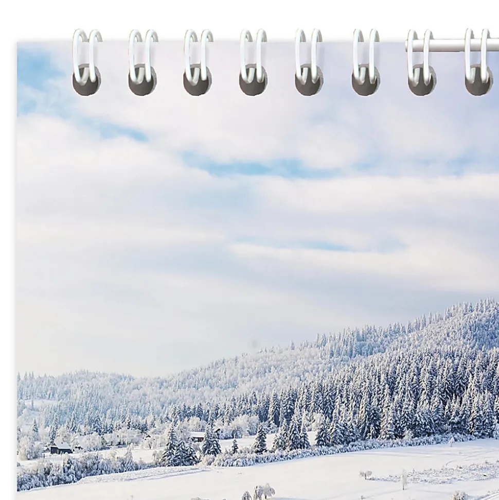 AT-A-GLANCE® 2026 Scenic Three Month Wall Calendar, Large, 12" x 27"