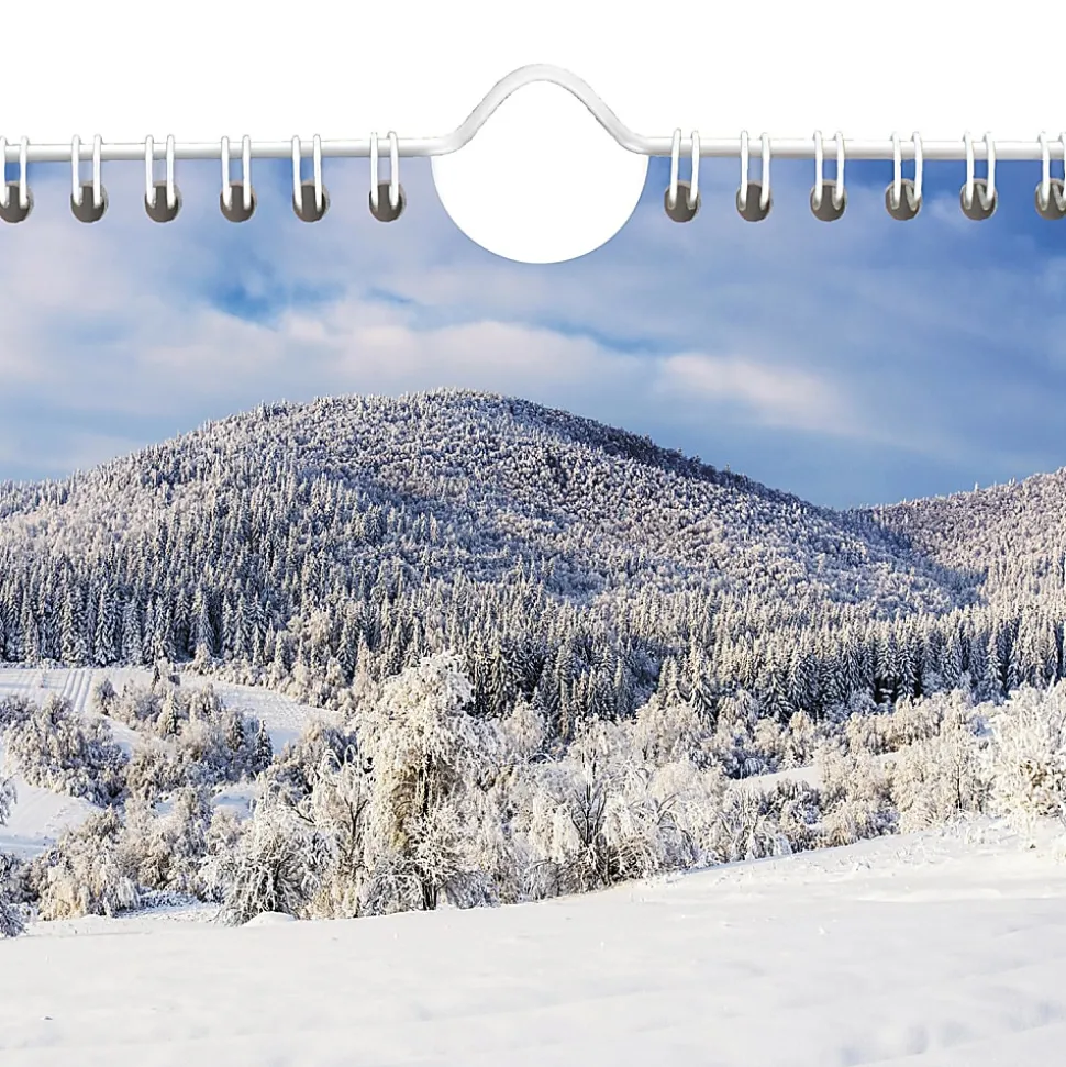 AT-A-GLANCE® 2026 Scenic Three Month Wall Calendar, Large, 12" x 27"