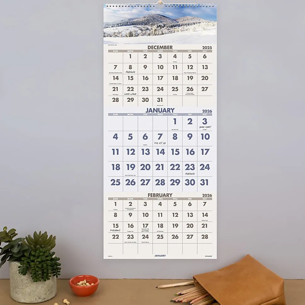 AT-A-GLANCE® 2026 Scenic Three Month Wall Calendar, Large, 12" x 27"