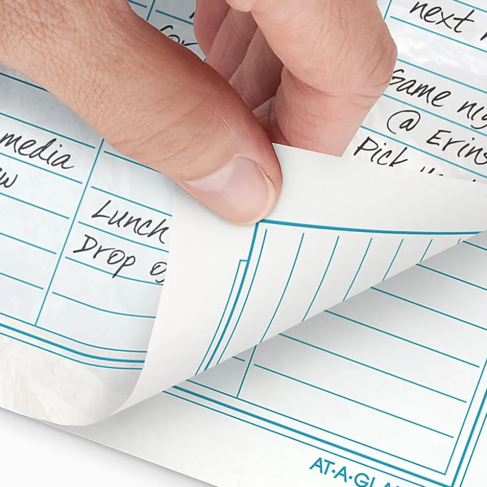 AT-A-GLANCE® 2026 Seascapes Daily Monthly Planner Two Page Per Day Refill, Loose-Leaf, Desk Size, 5 1/2" x 8 1/2"