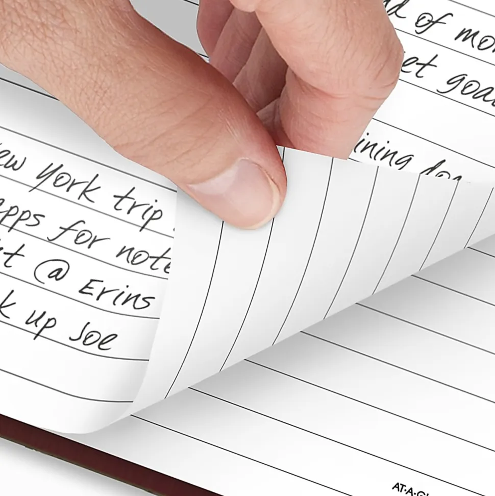 AT-A-GLANCE® Standard Diary® 2026 Daily Diary, Red, Large, 7 3/4" x 12"