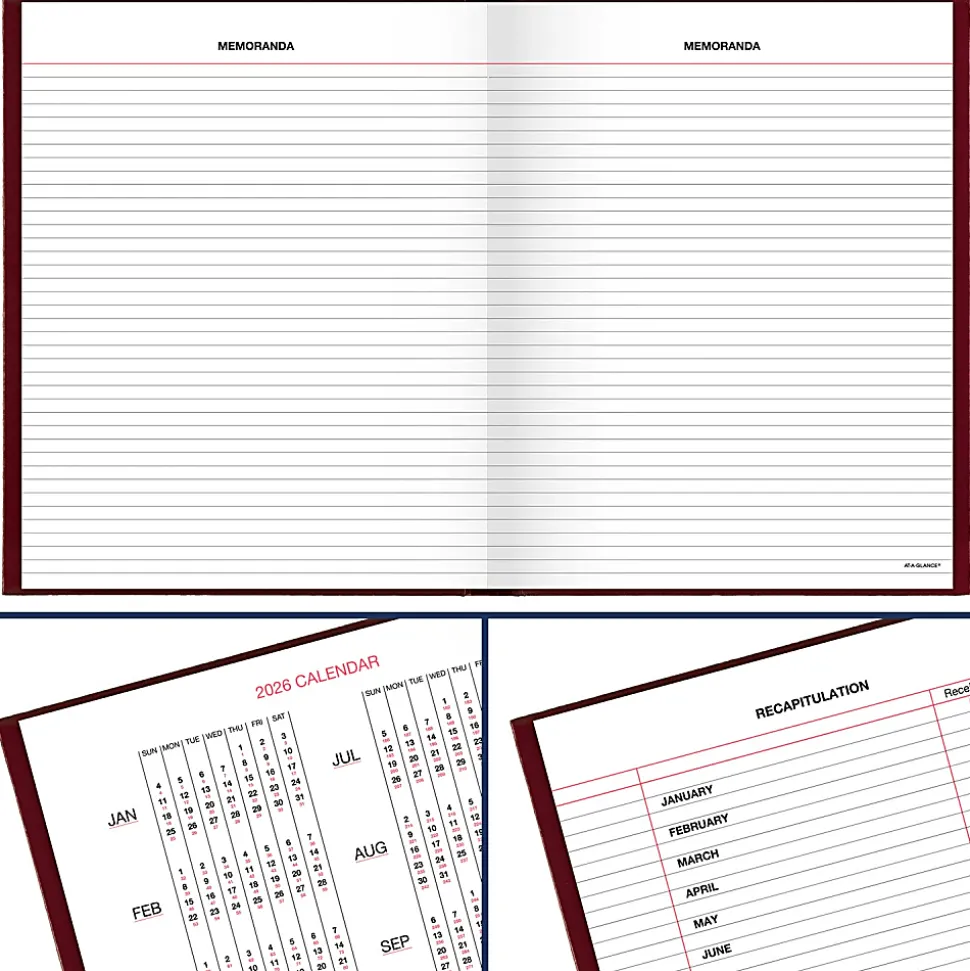 AT-A-GLANCE® Standard Diary® Daily Diary