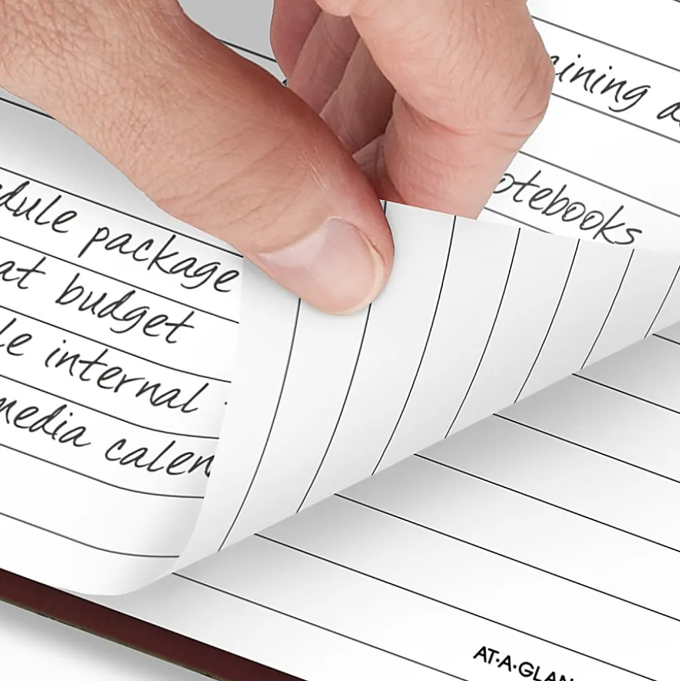 AT-A-GLANCE® Standard Diary® Daily Reminder, SD3891326