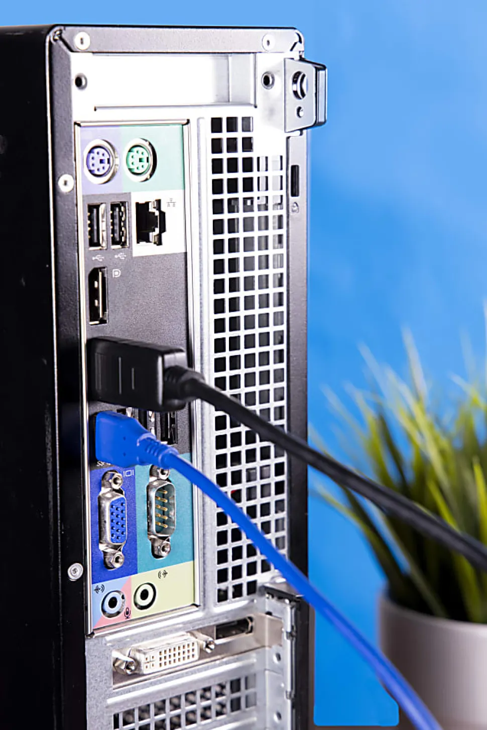 Ativa® DisplayPort Cable, 6', Black, 36545