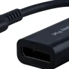 Ativa™ USB-C To DisplayPort Adapter, 6-1/4", Black, 79999