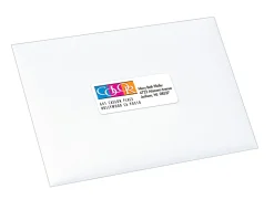 Avery® Address Labels With Sure Feed® Technology, 8250, Rectangle, 1
