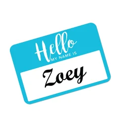 Avery® Adhesive Name Badges, Hello My Name Is, 2 1/3