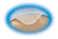 Avery® CD Sheet-Protector Pages, Clear, Pack Of 5
