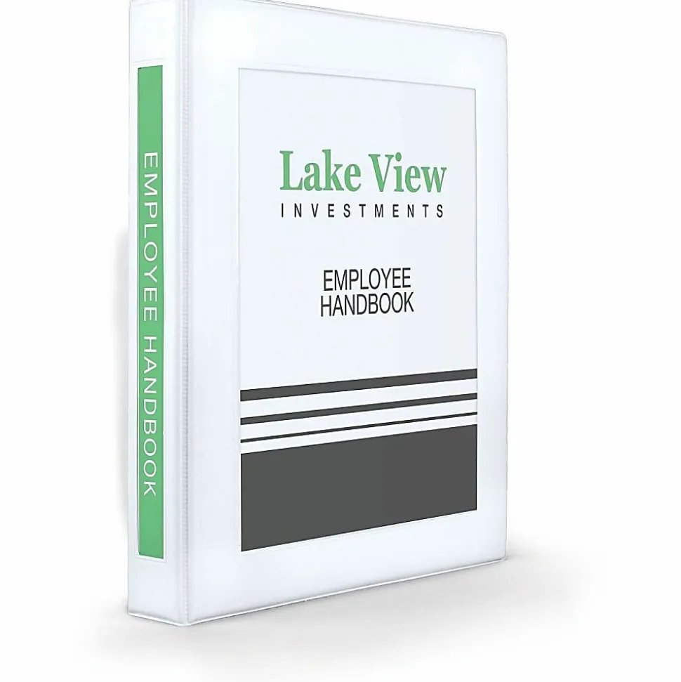 Avery® Heavy-Duty Framed View 3-Ring Binder, 1" One Touch EZD® Rings, White