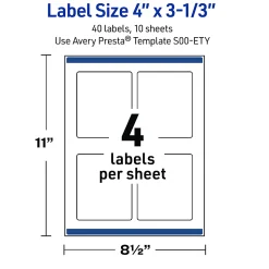 Avery® Printable Labels With Sure Feed® Technology, S00-EVC, 1